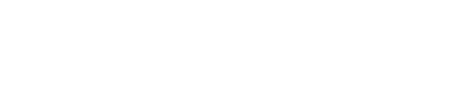 AcroNet - Soluções em Tecnologia